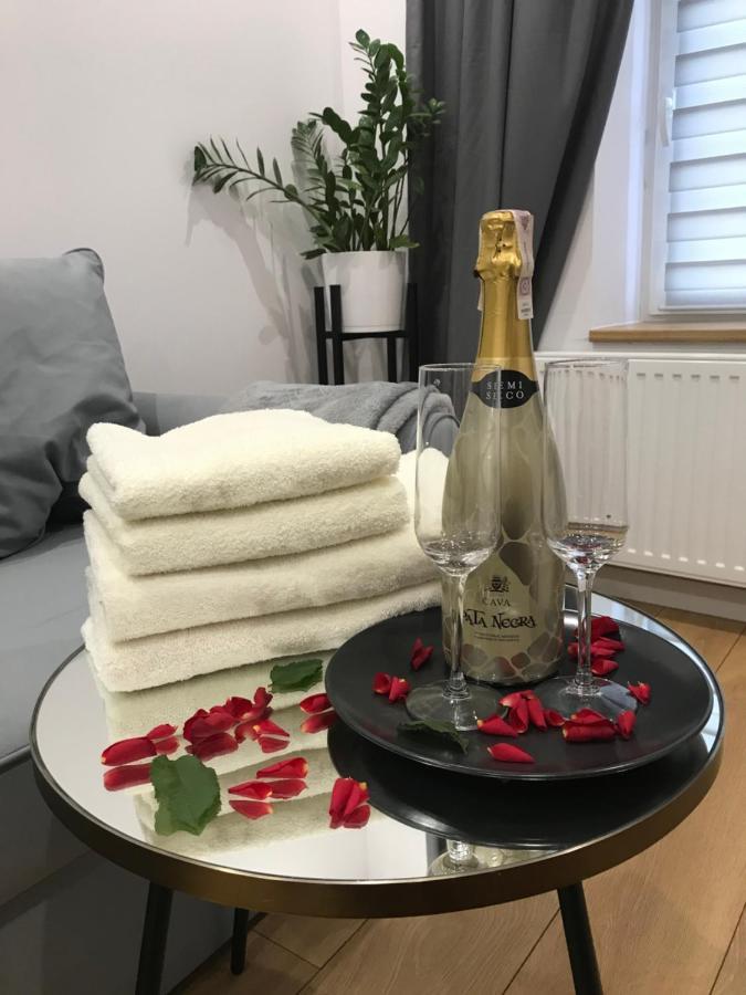 Apartament Przy Promenadzie Jelenia Gora Ngoại thất bức ảnh